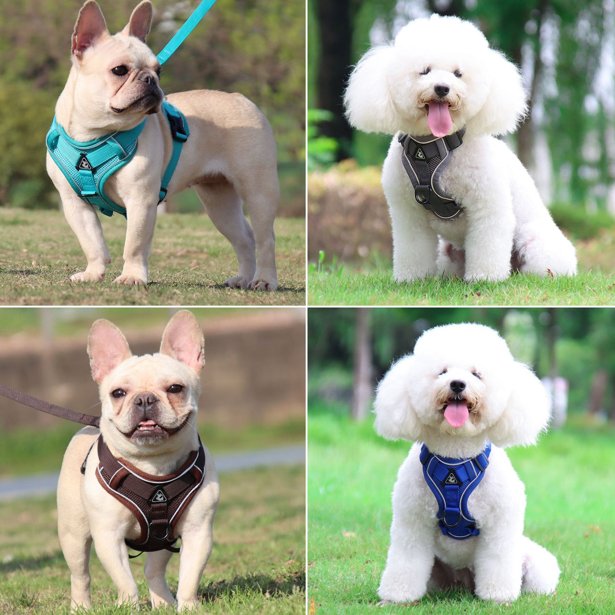 StepSafe — Reflective Breathable Cat & Dog Harness