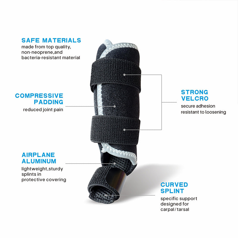 PawBrace — Front Leg Carpal Support Brace for Dogs
