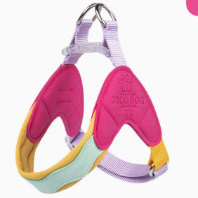 VestWalk — Reflective Vest Harness for Small Dogs & Cats
