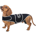 SpineSafe — Dog Back & Lumbar Support Vest