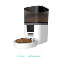 PetCam Auto Feeder - White with camera