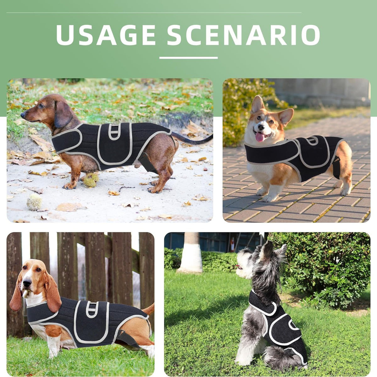 SpineSafe — Dog Back & Lumbar Support Vest