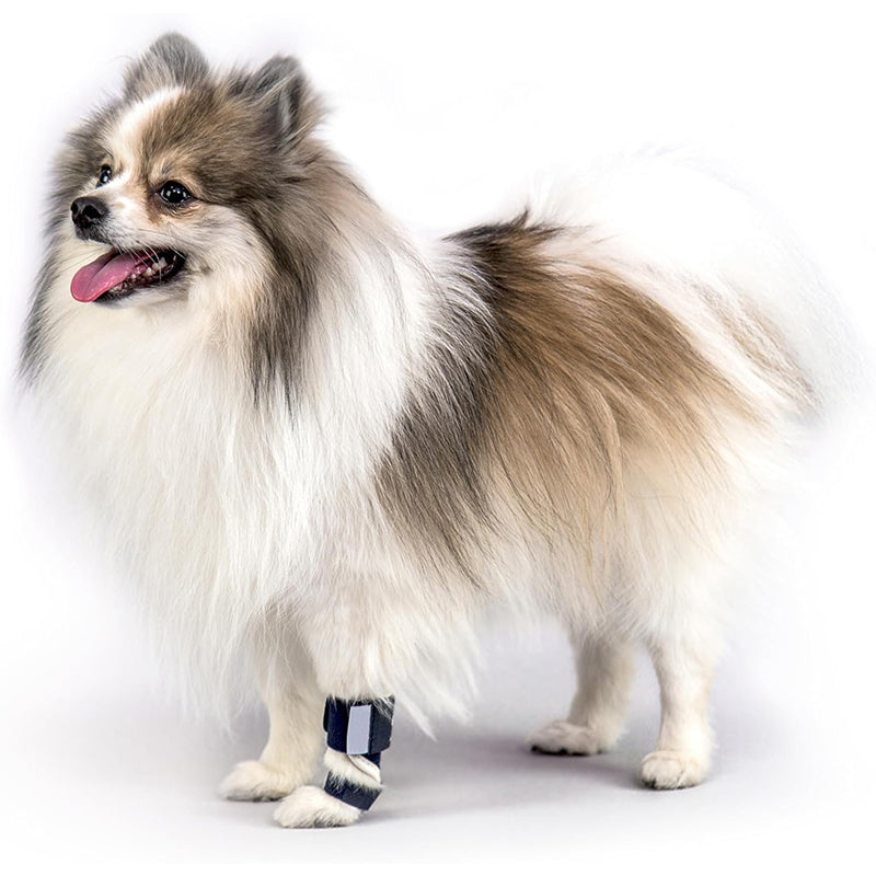 PawBrace — Front Leg Carpal Support Brace for Dogs