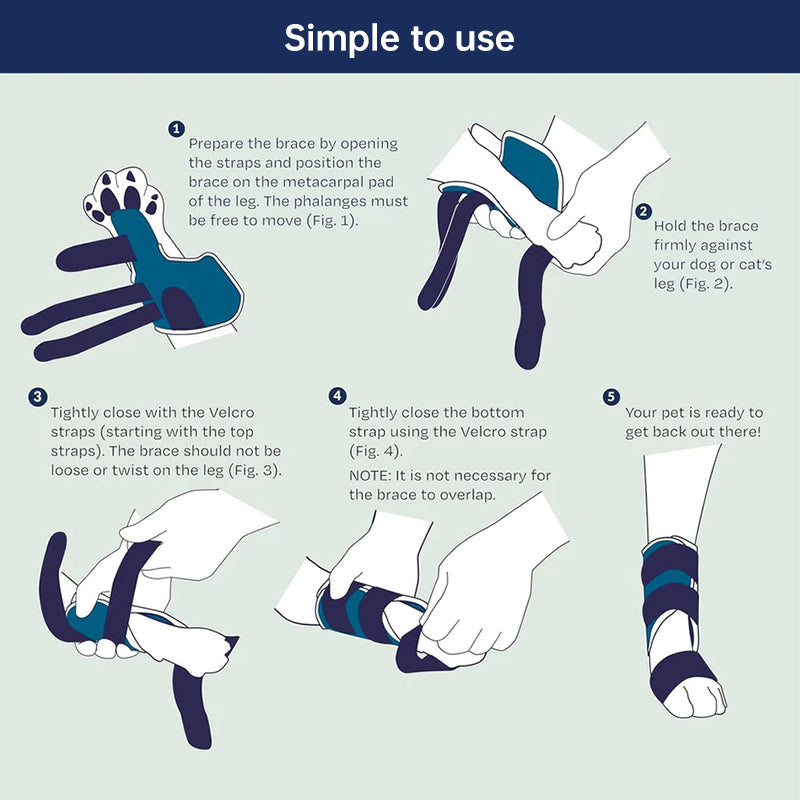 PawBrace — Front Leg Carpal Support Brace for Dogs