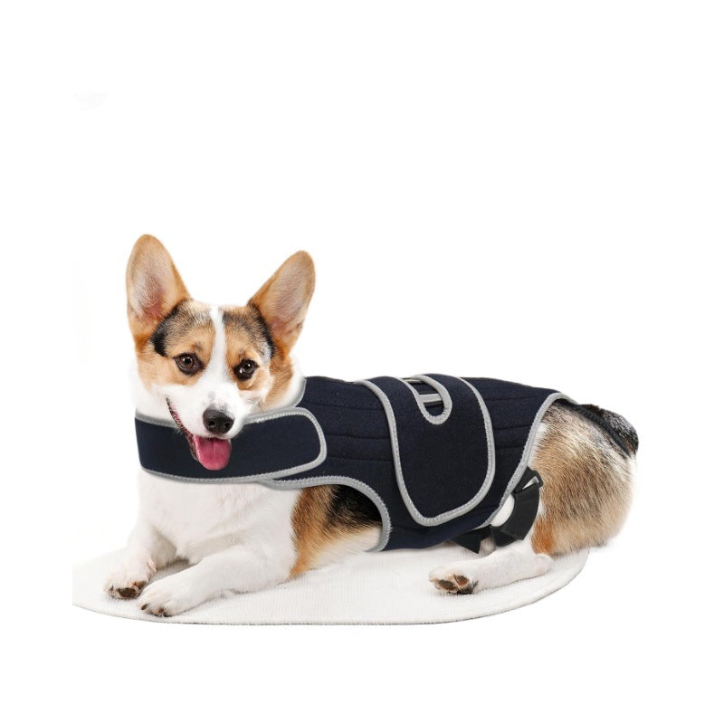 SpineSafe — Dog Back & Lumbar Support Vest
