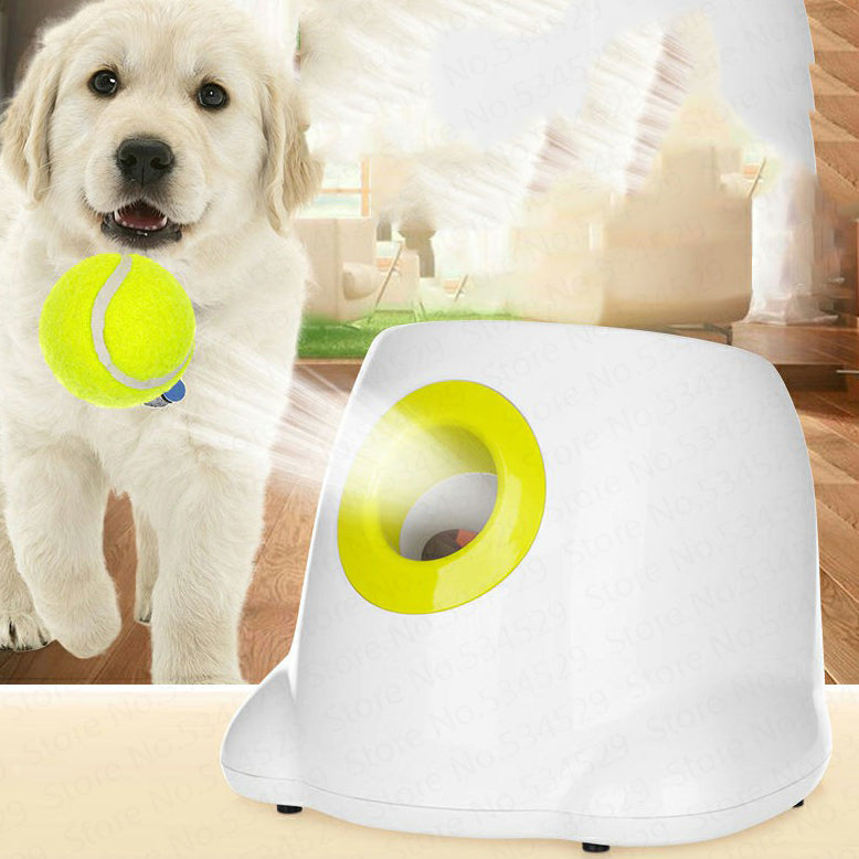 BallLauncher with dog