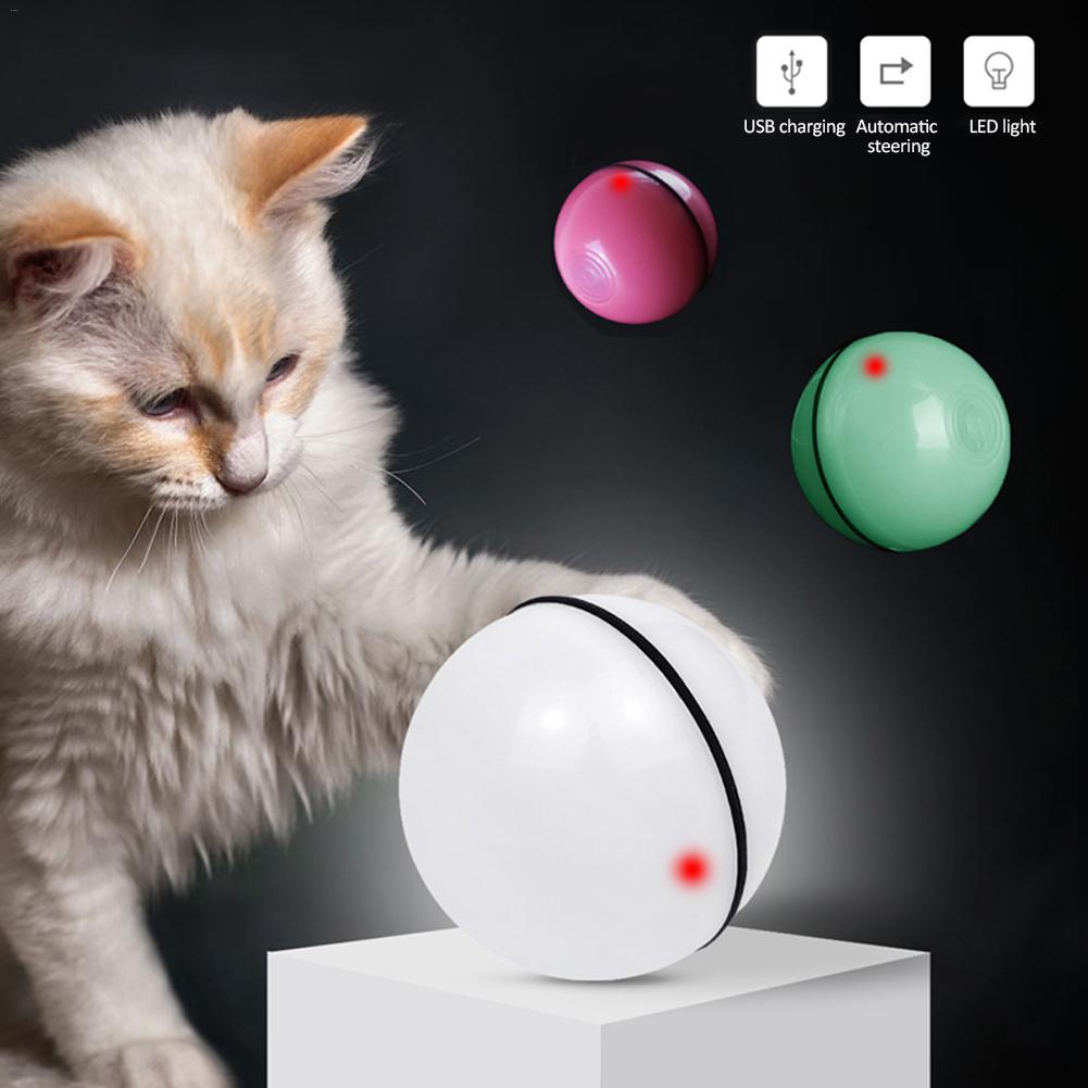 LaserPlay Auto - lifestyle with cat