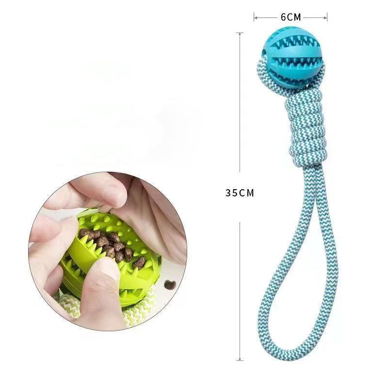 be2ceca42a50082204c8c10b96088c55